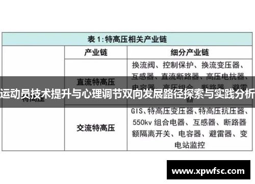 运动员技术提升与心理调节双向发展路径探索与实践分析