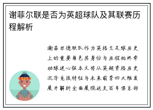 谢菲尔联是否为英超球队及其联赛历程解析